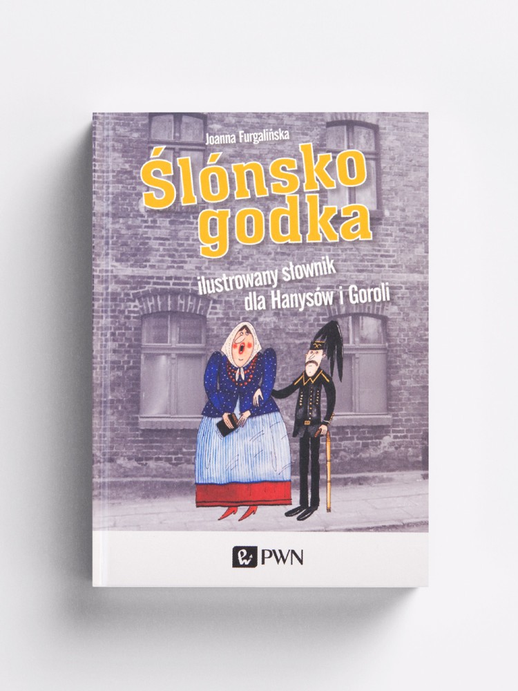 ŚLONSKO GODKA / Joanna Furgalińska / książka  
